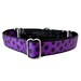 see more listings in the Martingale Collars section