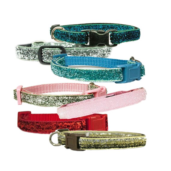 small puppy collars and leads