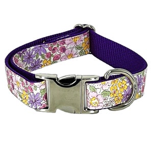 Summer Floral 1" or 1.5" Dog Collar in Petite Garden, Purple Collar