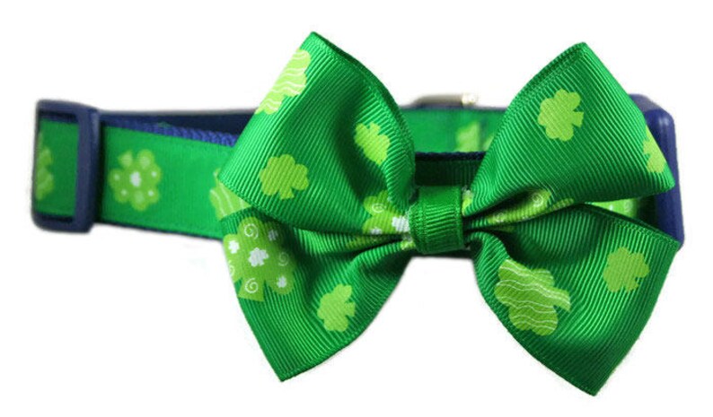 May include: Green dog collar with a shamrock pattern and a matching green bow tie. The collar is blue on the inside and has a buckle closure.