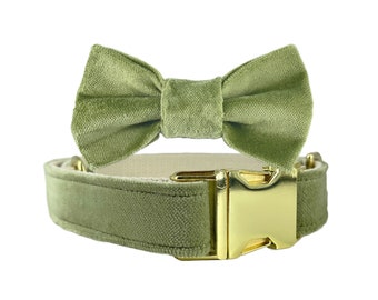 Sage Green Velvet Dog Collar and Bowtie | Collar & Bowtie Set