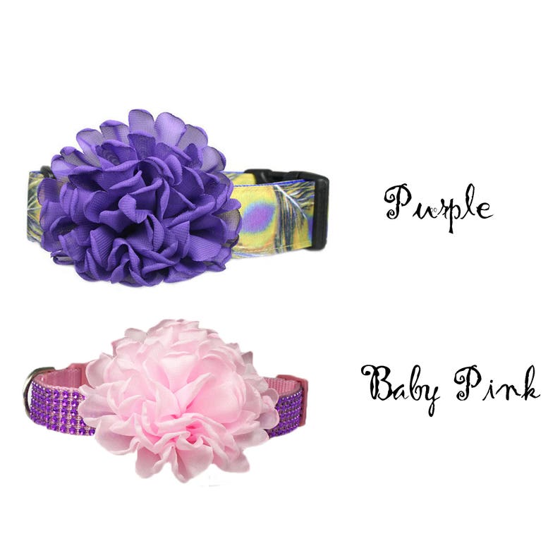 Ruffled 4 Chiffon Flower Dog Collar Accessory