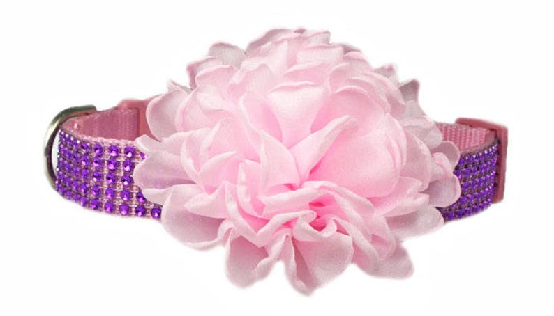 Ruffled 4 Chiffon Flower Dog Collar Accessory