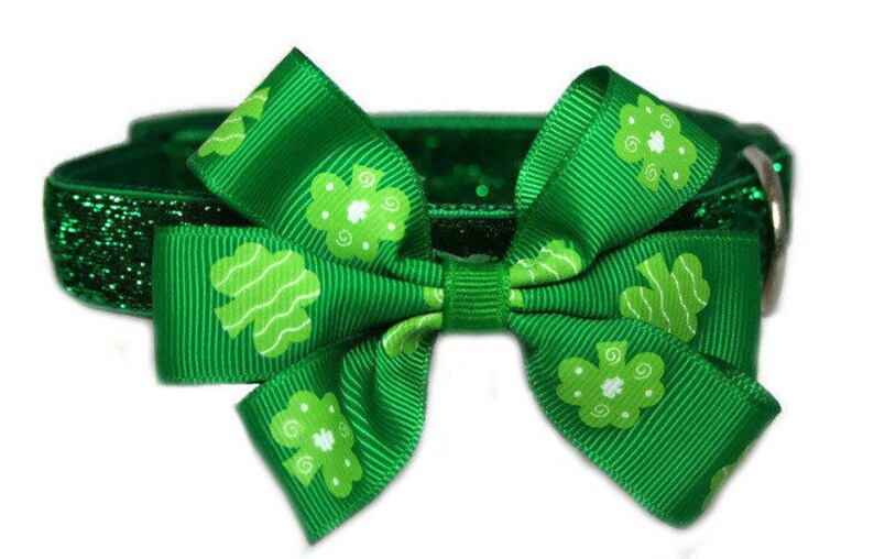 May include: Green glitter dog collar with a green shamrock bow. The bow has white shamrocks printed on it.