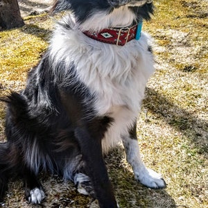 Southwest BUCKLE MARTINGALE 1 or 1.5 Turquoise-Barnside Aztec Tucson, Martingale Southwest Dog Collar image 3