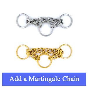 Collar de perro con cadena y martingale mejorado