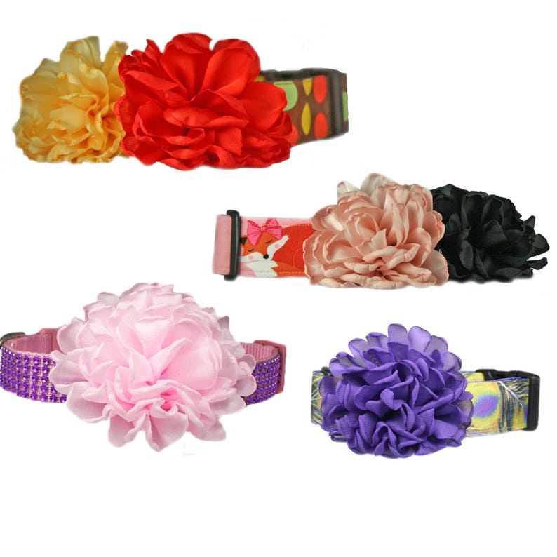 Ruffled 4 Chiffon Flower Dog Collar Accessory