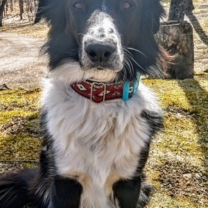 Southwest BUCKLE MARTINGALE 1 or 1.5 Turquoise-Barnside Aztec Tucson, Martingale Southwest Dog Collar image 4