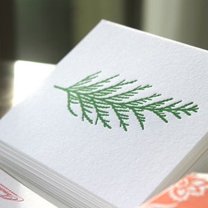 Cedar Pine Letterpress Card Set