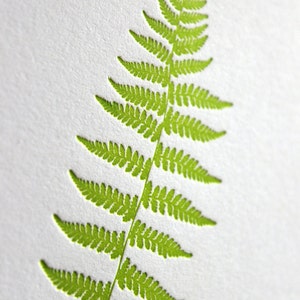 Fern Letterpress Card Set image 3