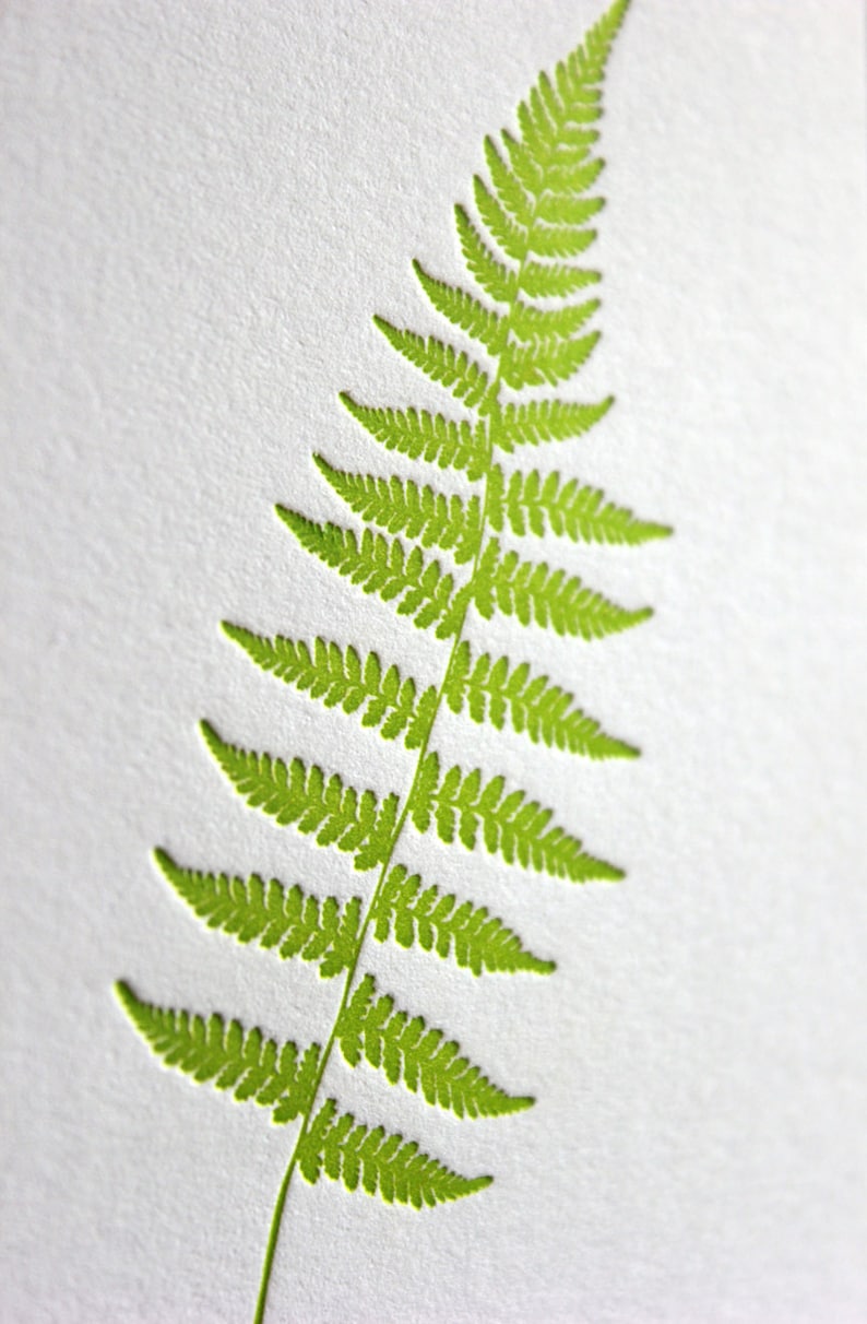 Fern Letterpress Card Set image 3