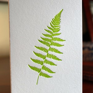 Fern Letterpress Card Set image 2