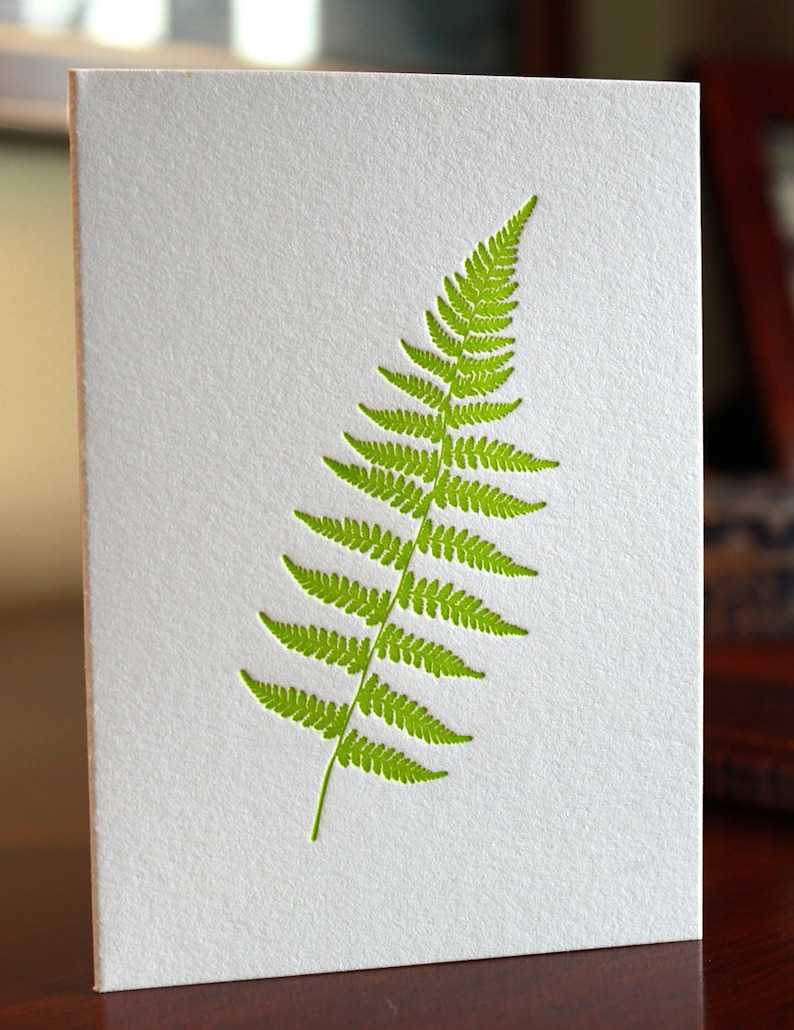 Fern Letterpress Card Set image 2