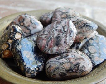 Leopard Skin Jasper Tumbled Stone