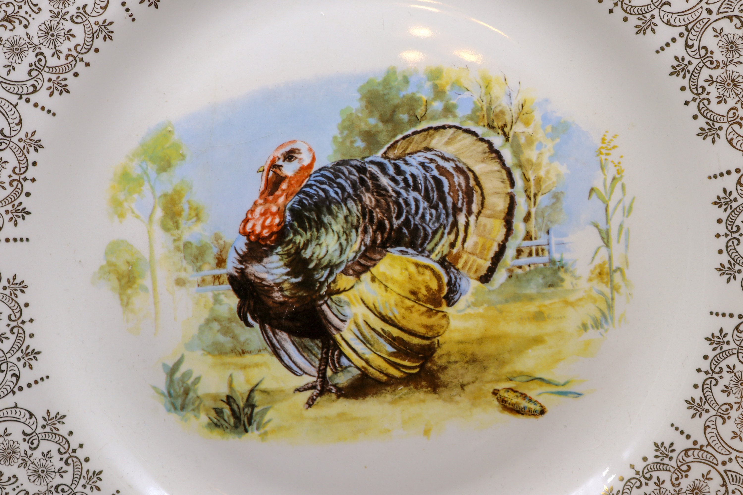 il_fullxfull.5109036011_5x61.jpg