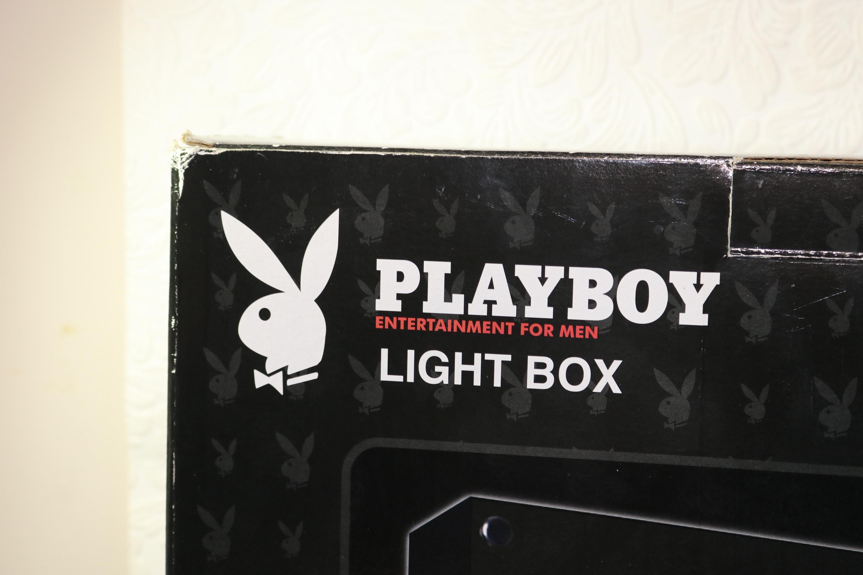プレイボーイ ラメライト PLAYBOY lame light Vintage 