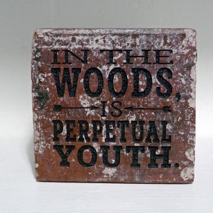 Puede incluir: Un letrero rectangular y r&uacute;stico con la cita "IN THE WOODS, IS PERPETUAL YOUTH" en letras negras. El letrero tiene una apariencia desgastada y envejecida con una base marr&oacute;n rojiza y detalles blancos, evocando una est&eacute;tica vintage.