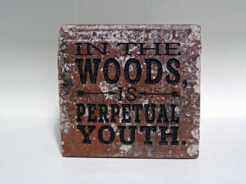 Puede incluir: Un letrero rectangular y r&uacute;stico con la cita "IN THE WOODS, IS PERPETUAL YOUTH" en letras negras. El letrero tiene una apariencia desgastada y envejecida con una base marr&oacute;n rojiza y detalles blancos, evocando una est&eacute;tica vintage.