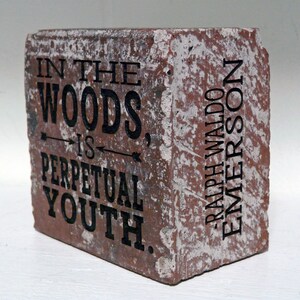 Puede incluir: Ladrillo rectangular con la cita "IN THE WOODS IS PERPETUAL YOUTH" y el nombre "RALPH WALDO EMERSON" en letras negras. El ladrillo es de color marr&oacute;n rojizo con detalles blancos, lo que le da un aspecto r&uacute;stico. El texto est&aacute; centrado y es claramente visible.