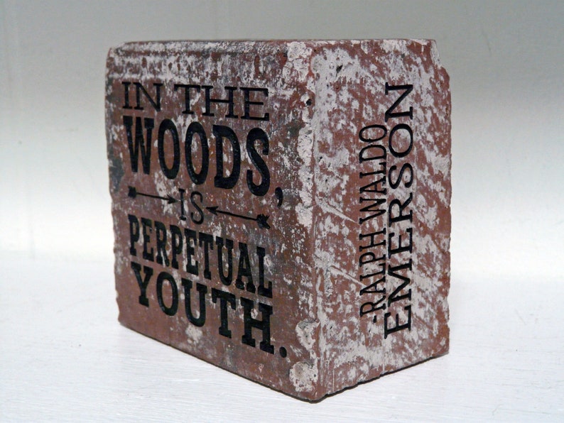 Puede incluir: Ladrillo rectangular con la cita "IN THE WOODS IS PERPETUAL YOUTH" y el nombre "RALPH WALDO EMERSON" en letras negras. El ladrillo es de color marr&oacute;n rojizo con detalles blancos, lo que le da un aspecto r&uacute;stico. El texto est&aacute; centrado y es claramente visible.