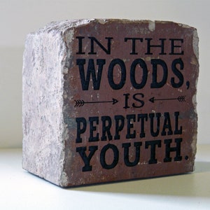 Puede incluir: Ladrillo rectangular desgastado con el texto "IN THE WOODS, IS PERPETUAL YOUTH" en letras negras. El ladrillo tiene un tono marr&oacute;n rojizo con una superficie rugosa y acentos blancos.