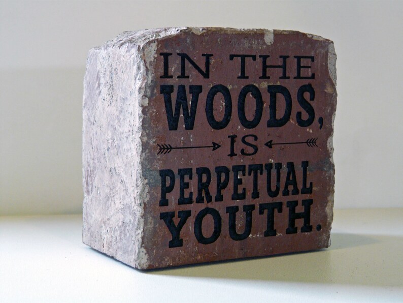 Puede incluir: Ladrillo rectangular desgastado con el texto "IN THE WOODS, IS PERPETUAL YOUTH" en letras negras. El ladrillo tiene un tono marr&oacute;n rojizo con una superficie rugosa y acentos blancos.
