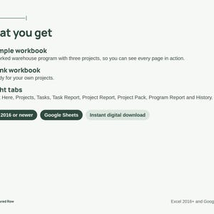 Project Status Report Template | Traffic Light RAG Dashboard, Program Rollup, PMO Report | Excel & Google Sheets image 7