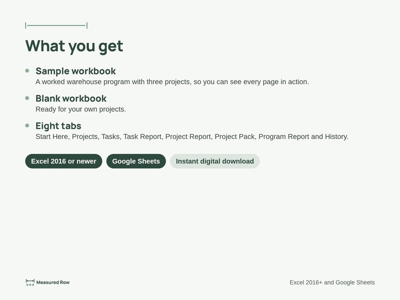 Project Status Report Template | Traffic Light RAG Dashboard, Program Rollup, PMO Report | Excel & Google Sheets image 7