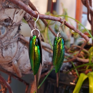 Light weight Beetle Wing Earrings, spring ear rings, fae, faerie butterfly, floral earrings, dangle drop, lightweight, elytra beetle
