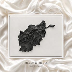 May include: A framed wall art piece featuring a black, three-dimensional topographic map of Afghanistan centered on a light gray background. The map displays detailed mountain terrain textures. Below the map, the text reads mauve & mauve EXCEPTIONAL ART.