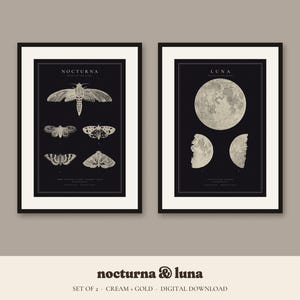 May include: Two framed wall art prints with black backgrounds and cream-colored illustrations. The left print features moths labeled Nocturna, while the right print displays moon phases labeled Luna. Both prints include small text at the bottom.