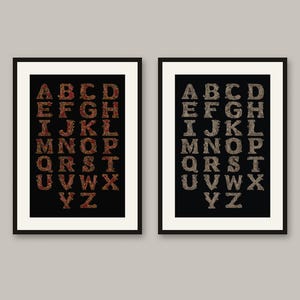 May include: Two framed wall art prints featuring the alphabet in capital letters. The left print displays red floral-patterned letters on a black background, while the right print shows grey floral-patterned letters on a black background.