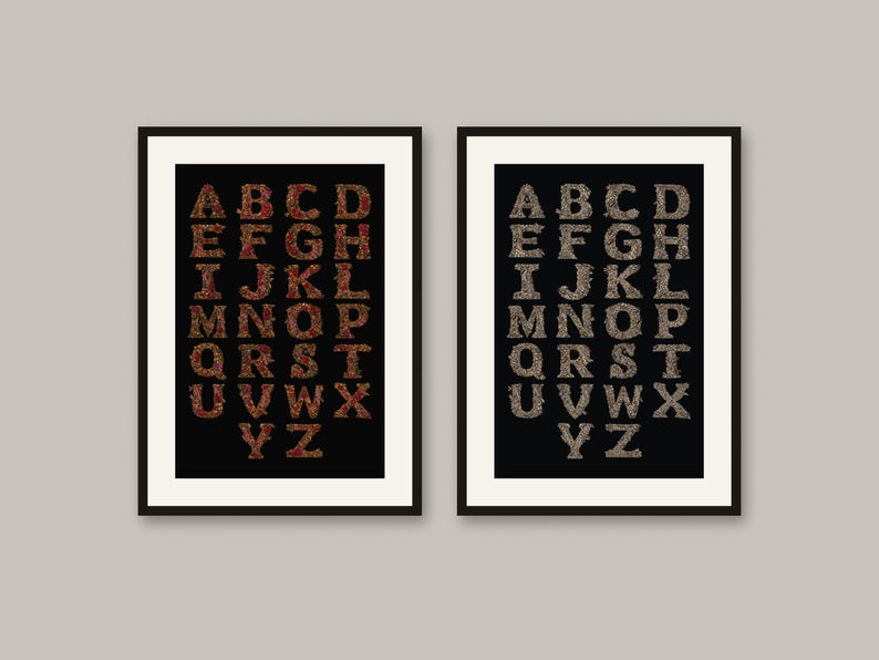 May include: Two framed wall art prints featuring the alphabet in capital letters. The left print displays red floral-patterned letters on a black background, while the right print shows grey floral-patterned letters on a black background.
