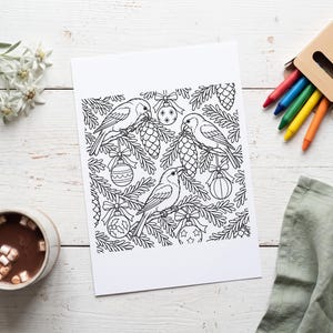 May include: A black and white colouring page featuring three birds perched among pine branches, pinecones, and hanging Christmas ornaments. The illustration is printed on a rectangular sheet of white paper.