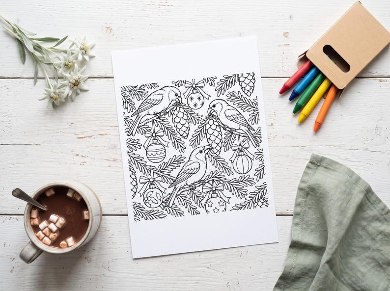 May include: A black and white colouring page featuring three birds perched among pine branches, pinecones, and hanging Christmas ornaments. The illustration is printed on a rectangular sheet of white paper.