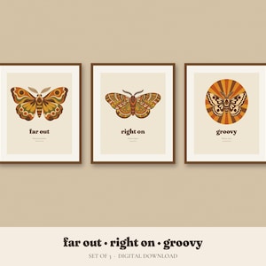 May include: A set of three framed wall art prints featuring moth illustrations in shades of orange, brown, and cream. Each print displays a moth and the text far out, right on, or groovy. The bottom text reads far out • right on • groovy set of 3 • digital download.