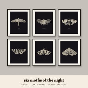 May include: A set of six framed wall art prints featuring detailed white illustrations of different moth species on black backgrounds. Each print displays a unique moth with scientific text below it. The text at the bottom reads: six moths of the night, set of 6, 3 colourways, digital download.