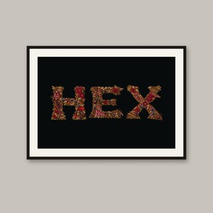 May include: A framed wall art print featuring the word HEX in capital letters. The letters are filled with a dense, intricate collage of small red, orange, and brown dried flowers, leaves, and botanical elements against a solid black background.
