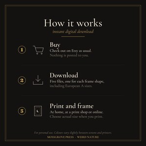Pu&ograve; includere: Un grafico informativo nero con testo dorato intitolato How it works, instant digital download. Illustra tre passaggi: 1. Buy, 2. Download di cinque file inclusi i formati europei A, e 3. Print and frame. Include Mossgrove Press Weird Nature.