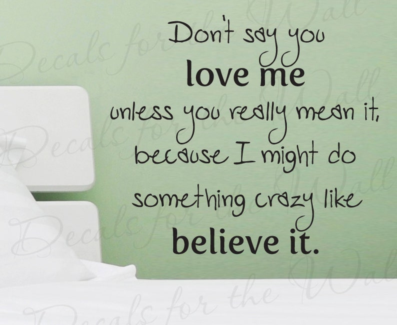 Dont Say You Love Me