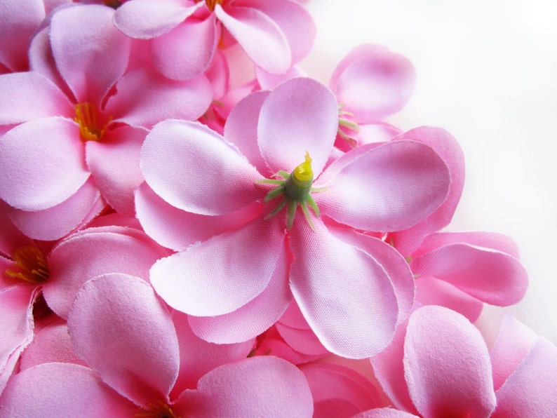 12 Pink Plumeria Frangipani Heads Artificial Silk Flower 3 Etsy