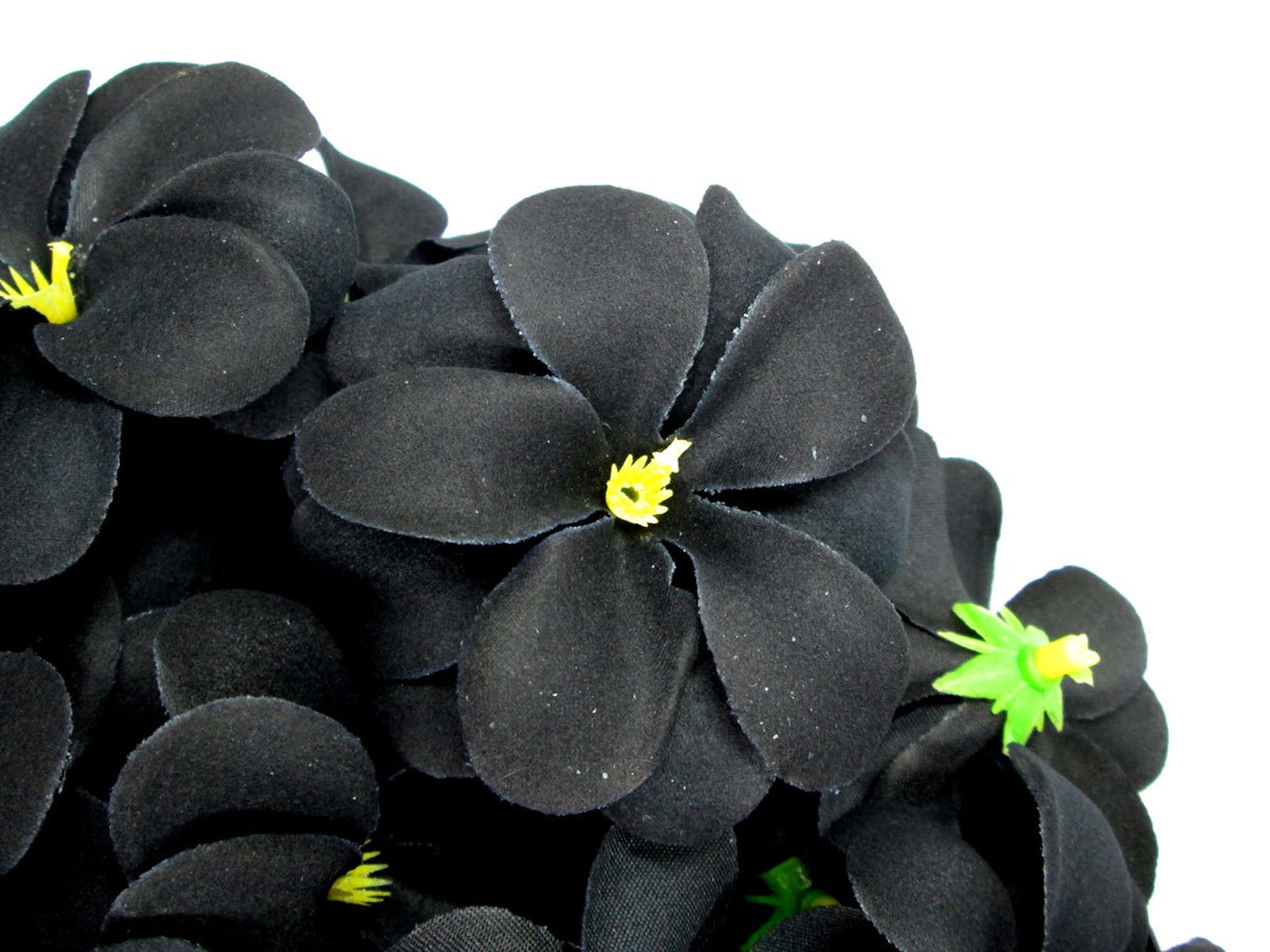 12 Black Plumeria Frangipani Heads Artificial Silk Flower Etsy