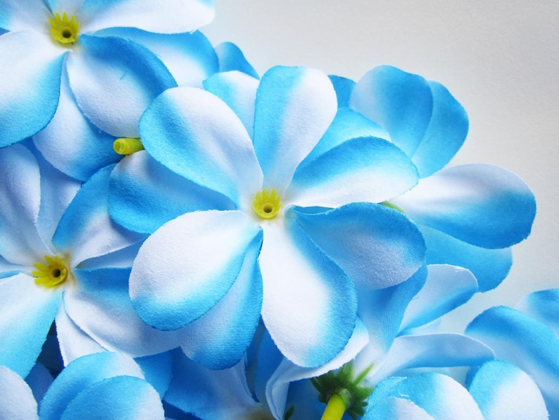 Wholesale Lot 3 inches headbands Artificial Silk Flower for Wedding 100 Plumeria Frangipani Heads Make Hair clips