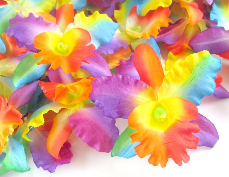 10 Rainbow Hawaiian Cattleya Heads Artificial Silk Flower Etsy