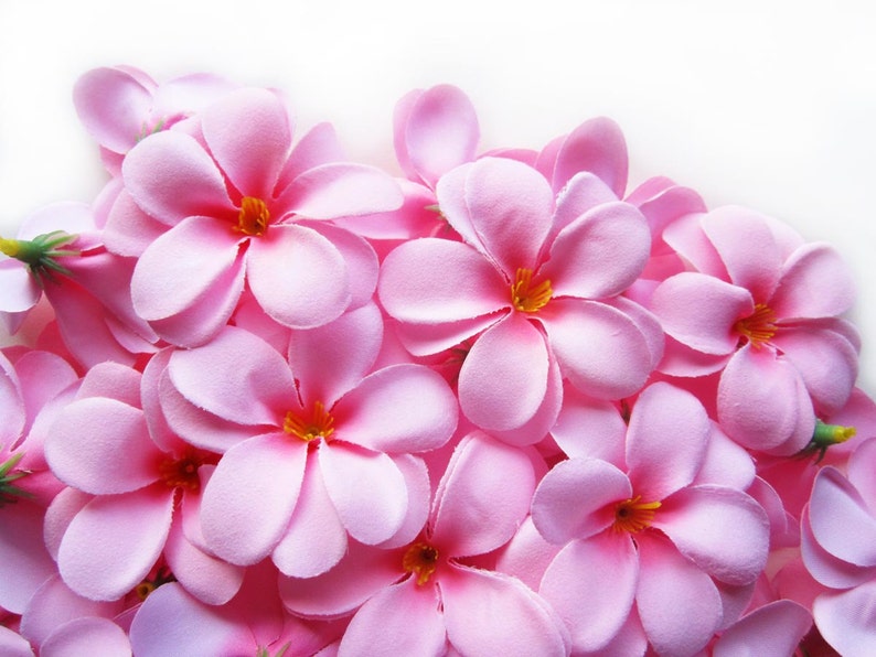 100 Pink Plumeria Frangipani Heads Artificial Silk Flower Etsy