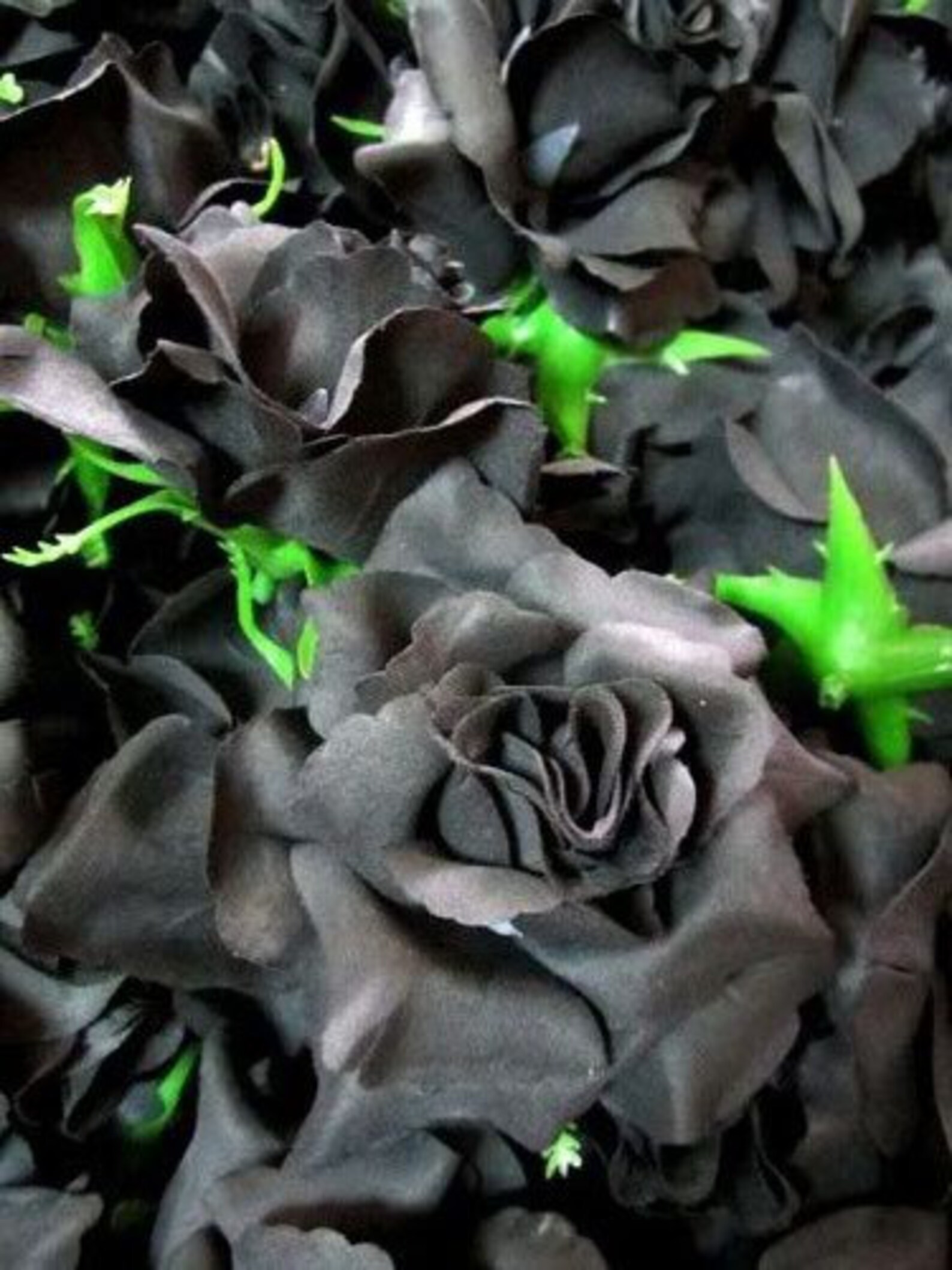 12 Black Roses Artificial Silk Flower Heads 3.75 inches Etsy