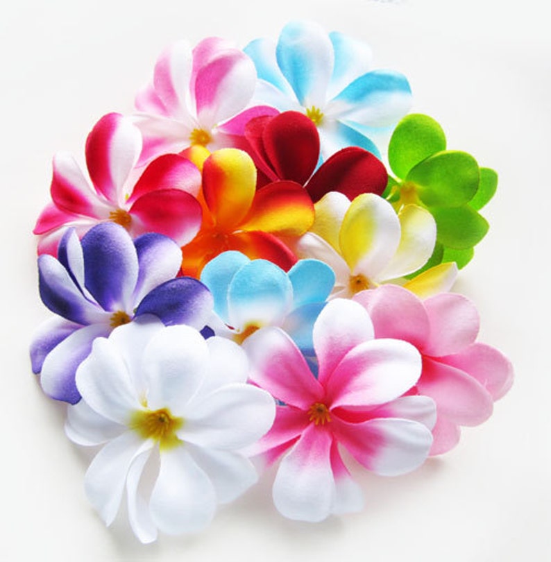 100 Assorted Mixed Plumeria Frangipani Heads Artificial Silk Etsy