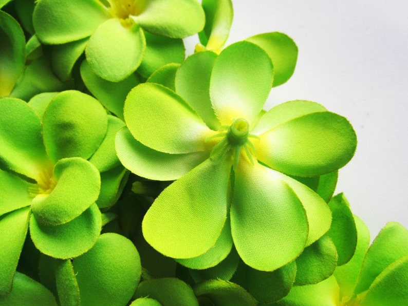 12 Green Plumeria Frangipani Heads Artificial Silk Flower Etsy