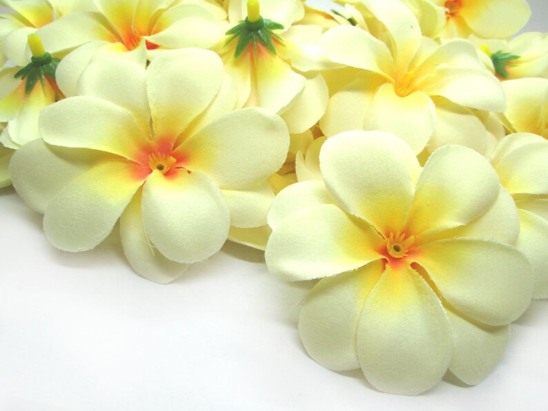 24 Plumeria Frangipani Heads Artificial Silk Flower 3 Etsy