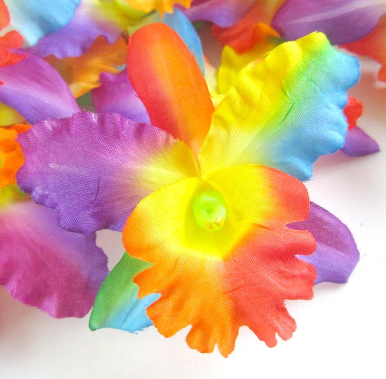 10 Rainbow Hawaiian Cattleya Heads Artificial Silk Flower Etsy